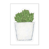 Succulent Illustrated by Yusuke Yonezu