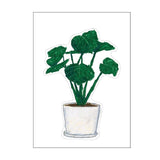 Plant Illustrated by Yusuke Yonezu